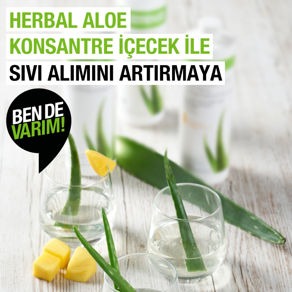 Herbalife Mango Aromalı Herbal Aloe Konsantre İçecek